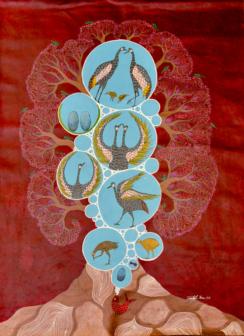 Birds Life Cycle