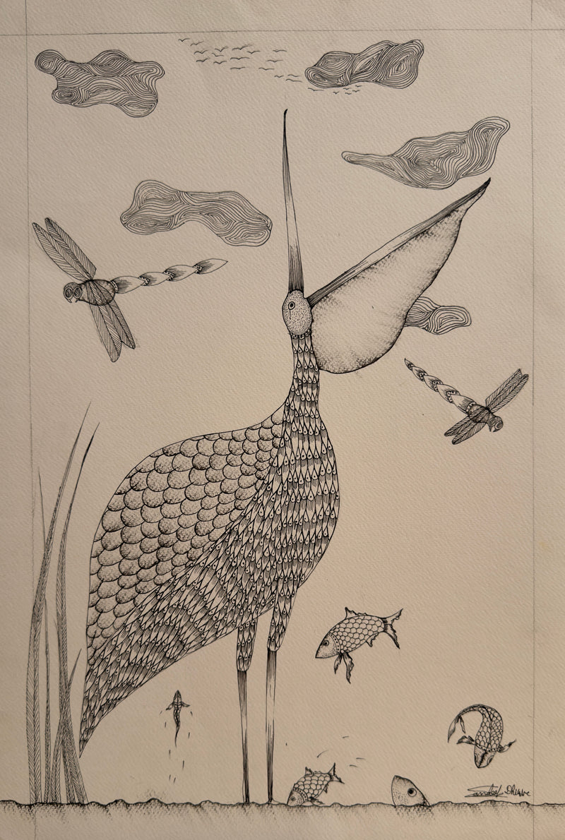 Pelican