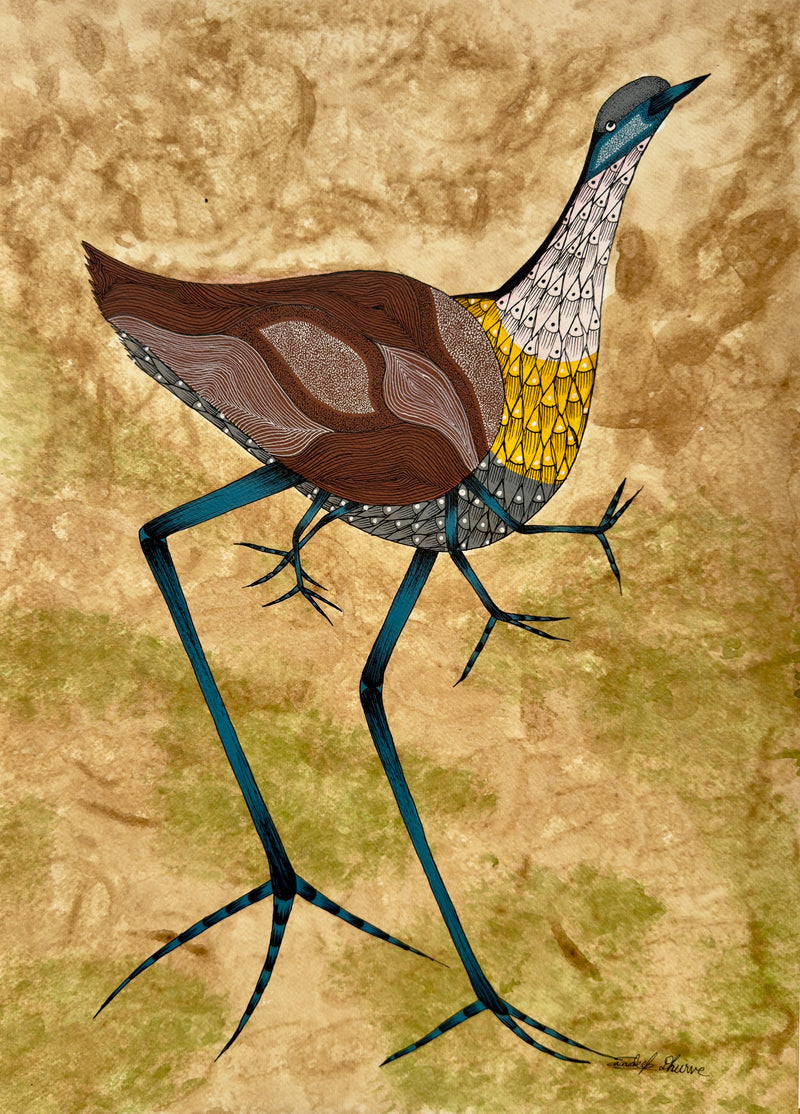 JACANA 1