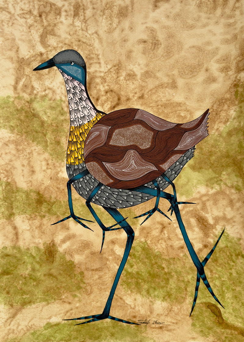 JACANA 3