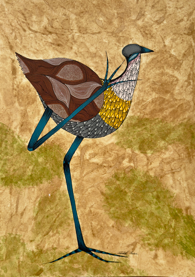 JACANA 4