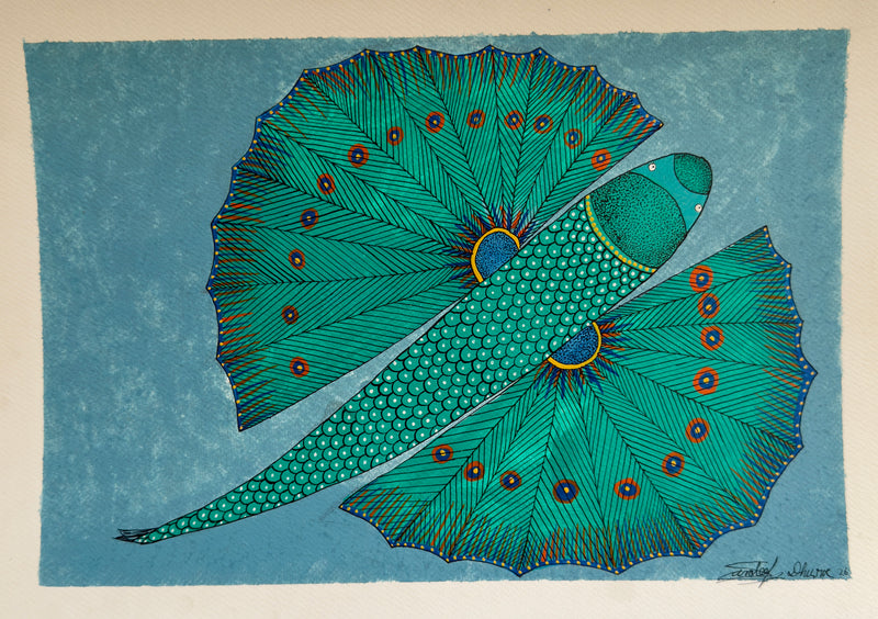 Flying Gurnard