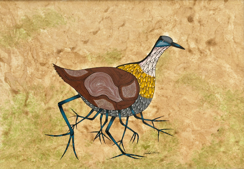 JACANA 2
