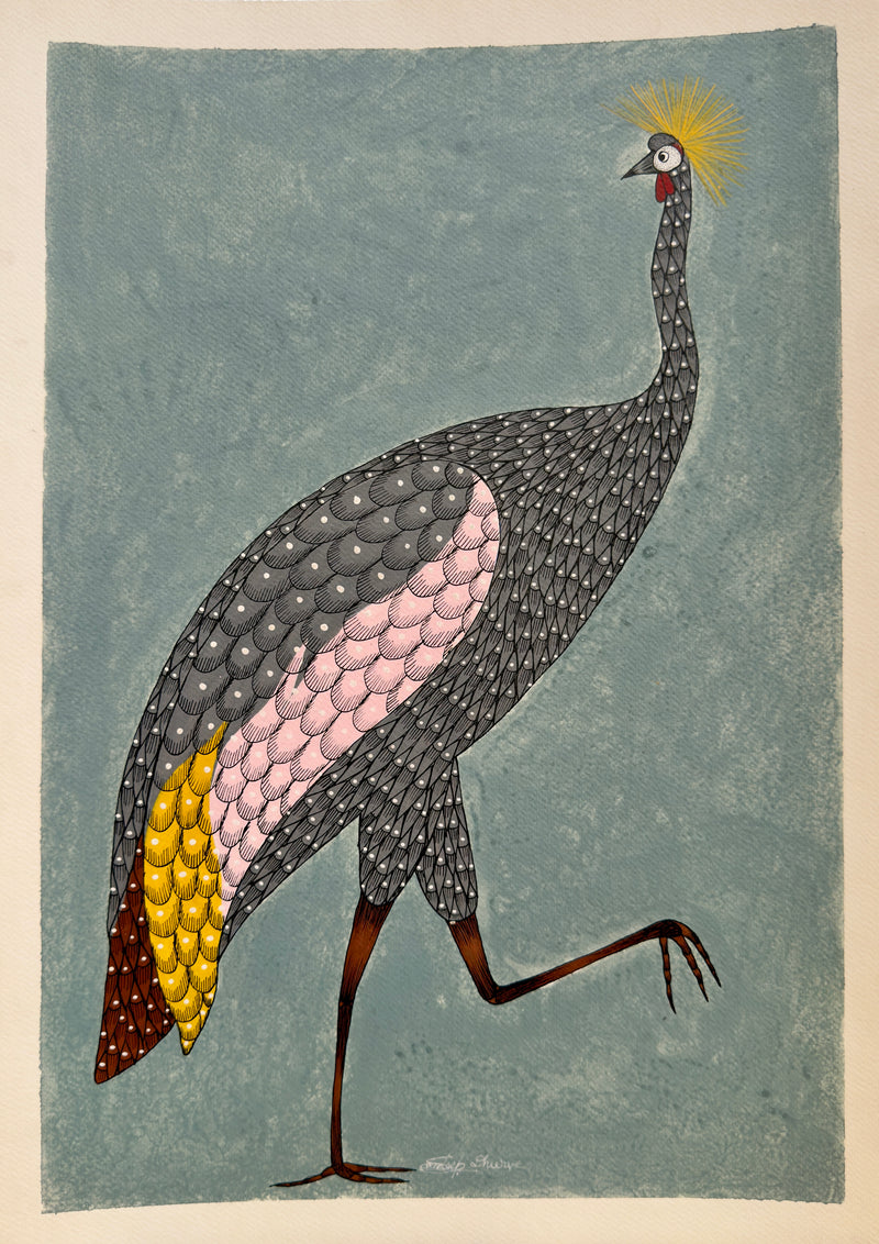 Golden Crowned Crane 1b