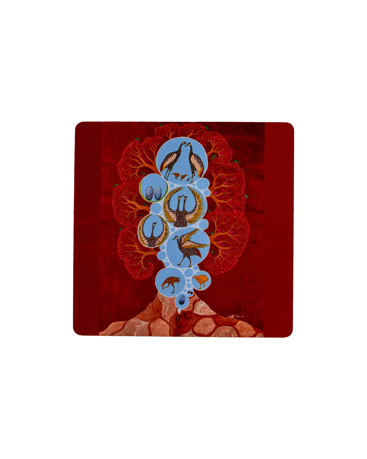 Coaster - Birds Life Cycle