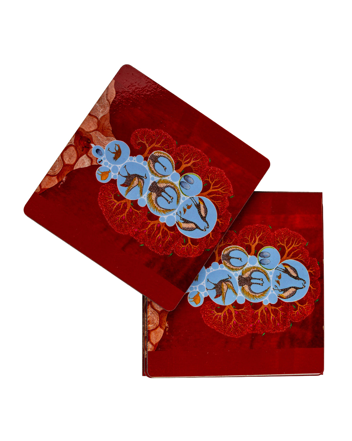 Coaster - Birds Life Cycle
